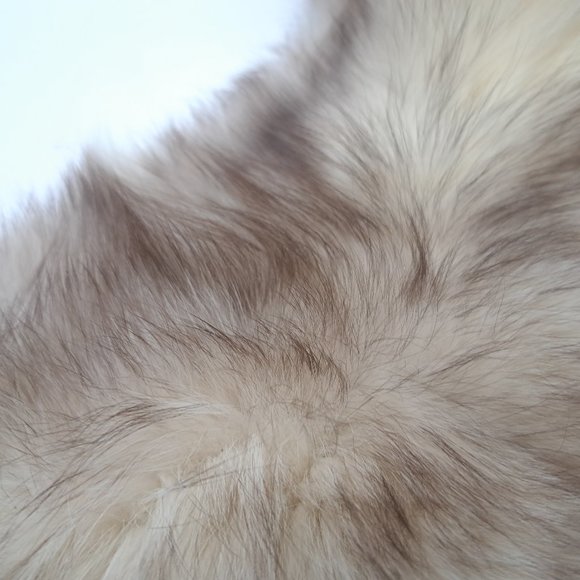 Vintage Wolf or Coyote Fur Stole - Picture 7 of 11